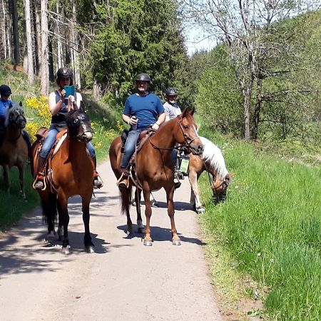Stal-Escapade Panzió Grosslangenfeld Kültér fotó